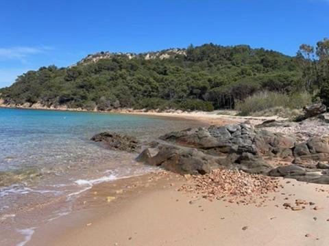 Vila Domus Antonella Capo Coda Cavallo Exteriér fotografie